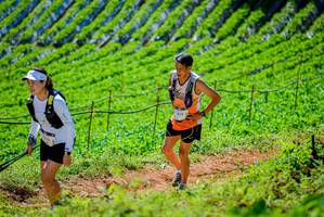 BIB: 504
                            <button type="button" onclick="openModal(19163509)" class="btn btn-primary btn-sm float-right btn-popup" data-toggle="modal" data-target=".modal-high-quality">
                        <i class="fas fa-shopping-cart"></i> Add to Cart
                    </button>
                                            <button type="button" onclick="isThisMe(19163509, true)" class="btn btn-success btn-sm float-right btn-popup btn-isme hidden" data-toggle="tooltip" data-placement="bottom" title="นี่คือรูปของคุณใช่ไหม คลิกที่นี่เพื่อเอาเข้าอัลบั้ม">
                        <i class="fas fa-plus"></i> Add to album
                    </button>
                    <button type="button" onclick="isThisMe(19163509, false)" class="btn btn-warning btn-sm float-right btn-popup btn-isnotme hidden">
                        <i class="fas fa-ban"></i> Remove from album
                    </button>